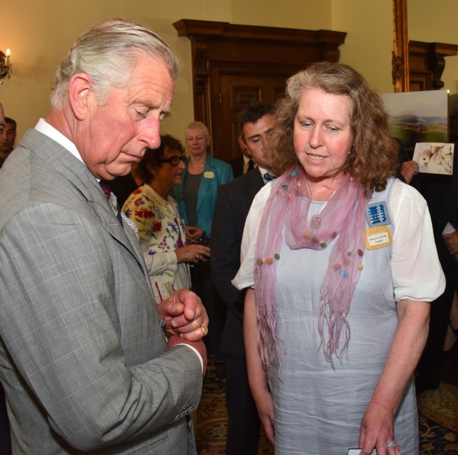 Cambrian Mountains Wool Challenge